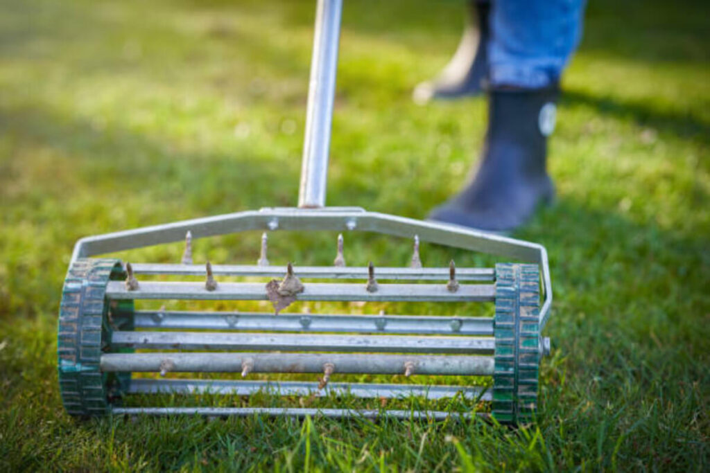 Lawn Aeration: The Best Time to Aerate Your Lawn